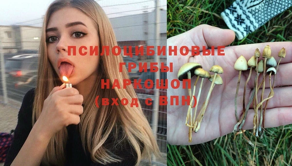 соль ск Богородицк