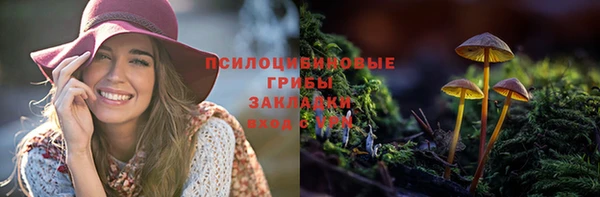 соль ск Богородицк
